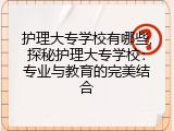 护理大专学校有哪些,探秘护理大专学校：专业与教育的完美结合
