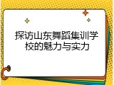 探访山东舞蹈集训学校的魅力与实力