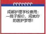 成都护理学校费用：一揽子报价，成就你的医护梦想！