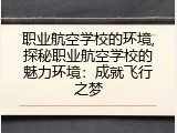 职业航空学校的环境,探秘职业航空学校的魅力环境：成就飞行之梦