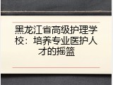 黑龙江省高级护理学校：培养专业医护人才的摇篮