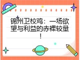 锦州卫校鸡：一场欲望与利益的赤裸较量！