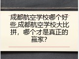 成都航空学校哪个好些,成都航空学校大比拼，哪个才是真正的赢家？