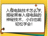 入侵电脑技术怎么学,揭秘黑客入侵电脑的神秘技术，小白也能轻松学会！