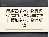 舞蹈艺考培训收费多少,舞蹈艺考培训收费：精细专业，物有所值