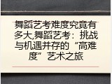 舞蹈艺考难度究竟有多大,舞蹈艺考：挑战与机遇并存的“高难度”艺术之旅