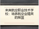 来宾航空职业技术学校：培养航空业精英的摇篮