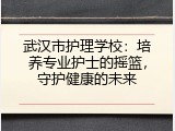 武汉市护理学校：培养专业护士的摇篮，守护健康的未来