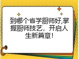 到哪个省学厨师好,掌握厨师技艺，开启人生新篇章！