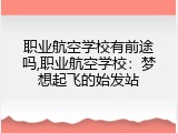 职业航空学校有前途吗,职业航空学校：梦想起飞的始发站