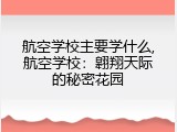 航空学校主要学什么,航空学校：翱翔天际的秘密花园