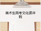 美术生高考文化课冲刺