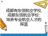 成都有东信航空学校,成都东信航空学校：培养专业航空人才的摇篮