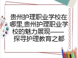 贵州护理职业学校在哪里,贵州护理职业学校的魅力展现—— 探寻护理教育之都