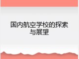 国内航空学校的探索与展望
