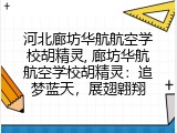 河北廊坊华航航空学校胡精灵, 廊坊华航航空学校胡精灵：追梦蓝天，展翅翱翔