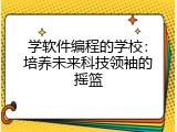 学软件编程的学校：培养未来科技领袖的摇篮