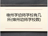 宿州学幼师学校有几所(宿州幼师学校数)