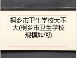 桐乡市卫生学校大不大(桐乡市卫生学校规模如何)