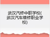 武汉汽修中职学校(武汉汽车维修职业学校)