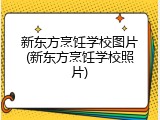 新东方烹饪学校图片(新东方烹饪学校照片)