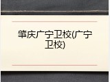 肇庆广宁卫校(广宁卫校)