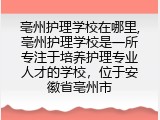 亳州护理学校在哪里,亳州护理学校是一所专注于培养护理专业人才的学校，位于安徽省亳州市