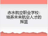 赤水航空职业学校：培养未来航空人才的摇篮