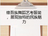 维吾族舞蹈艺考服装，展现独特的民族魅力