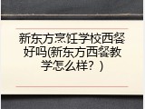 新东方烹饪学校西餐好吗(新东方西餐教学怎么样？)