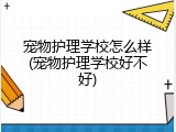 宠物护理学校怎么样(宠物护理学校好不好)