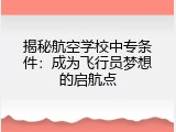 揭秘航空学校中专条件：成为飞行员梦想的启航点