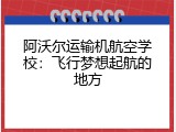 阿沃尔运输机航空学校：飞行梦想起航的地方