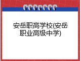 安岳职高学校(安岳职业高级中学)