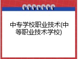 中专学校职业技术(中等职业技术学校)