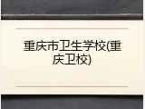 重庆市卫生学校(重庆卫校)