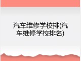 汽车维修学校排(汽车维修学校排名)