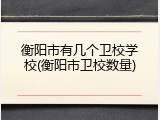 衡阳市有几个卫校学校(衡阳市卫校数量)