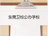 东莞卫校公办学校