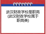 武汉财政学校是职高(武汉财政学校属于职高类)