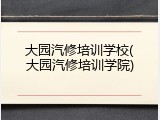 大园汽修培训学校(大园汽修培训学院)