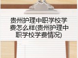 贵州护理中职学校学费怎么样(贵州护理中职学校学费情况)
