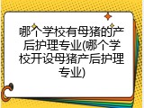 哪个学校有母猪的产后护理专业(哪个学校开设母猪产后护理专业)