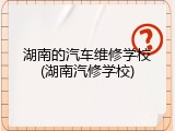 湖南的汽车维修学校(湖南汽修学校)