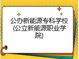 公办新能源专科学校(公立新能源职业学院)