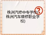 株洲汽修中专学校(株洲汽车维修职业学校)