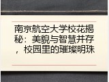 南京航空大学校花揭秘：美貌与智慧并存，校园里的璀璨明珠