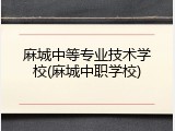 麻城中等专业技术学校(麻城中职学校)
