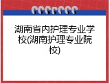湖南省内护理专业学校(湖南护理专业院校)