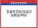 玉溪市卫校(玉溪卫生职业学校)